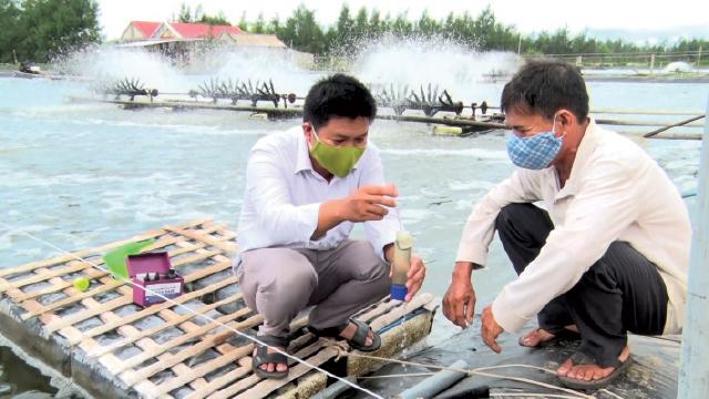 Quản lý môi trường ao nuôi tôm
