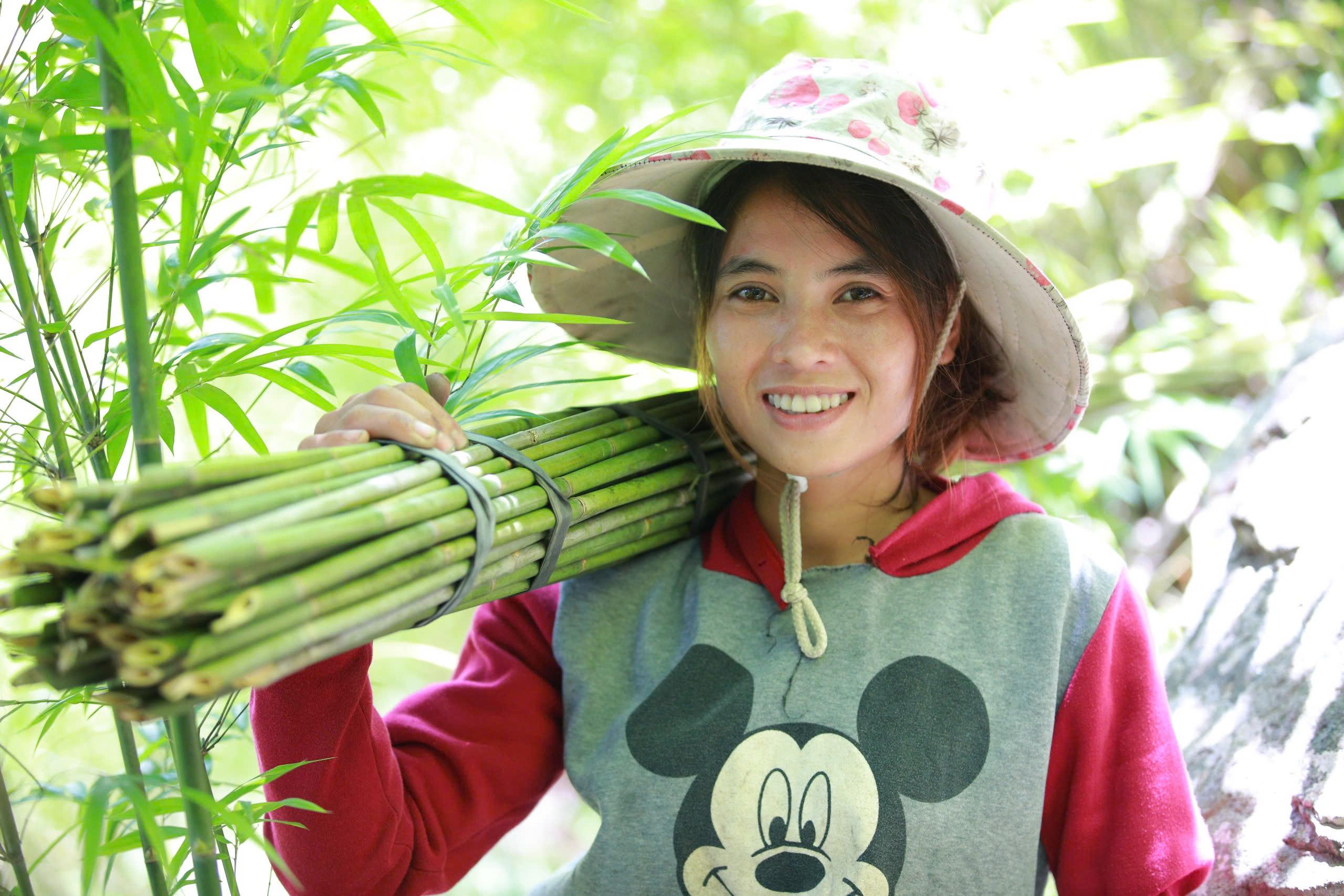 Huyện Đakrông phát triển kinh tế dưới tán rừng: Giải pháp bền vững cho vùng cao