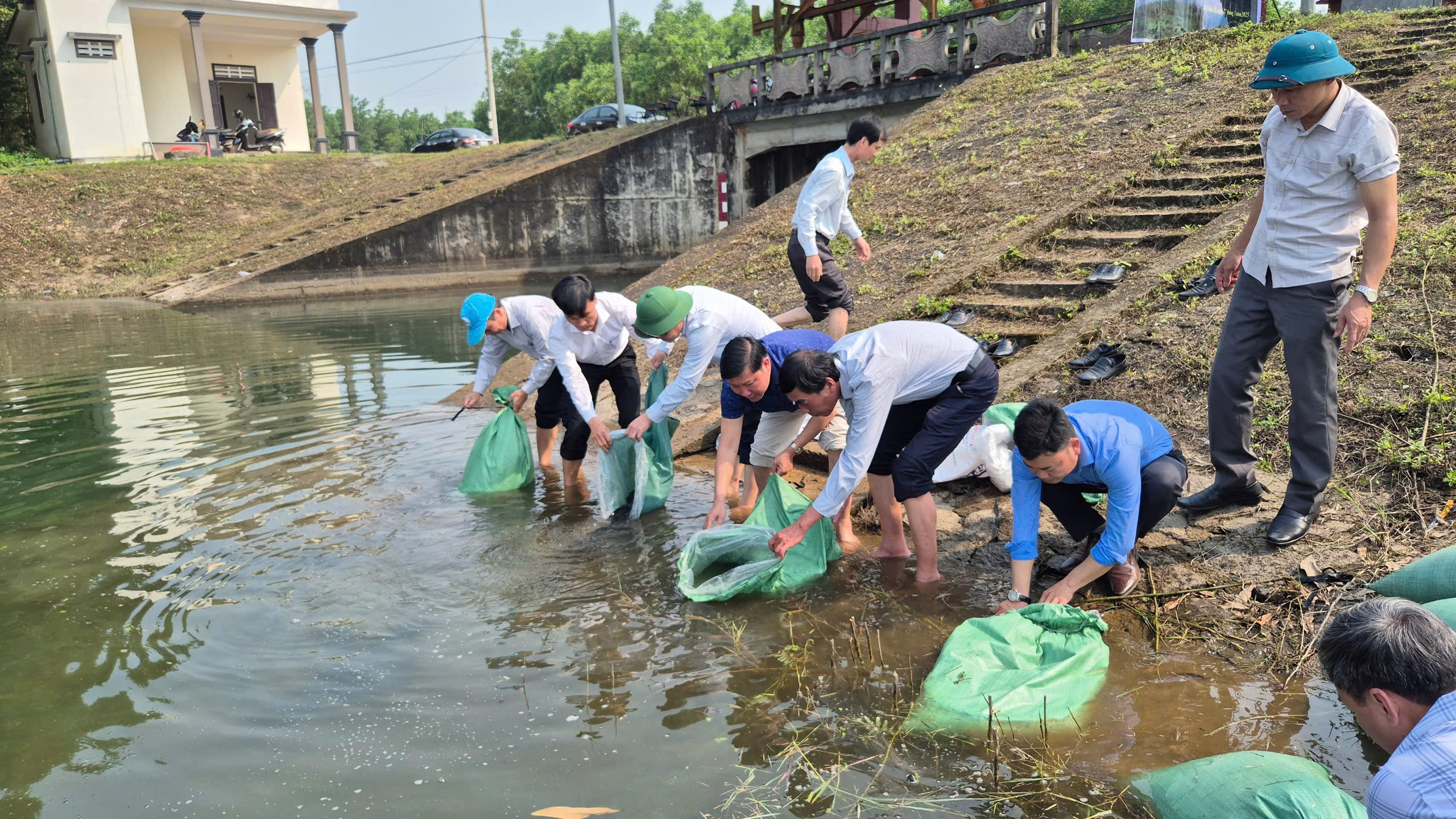 Thả 2,5 vạn cá giống bổ sung, tái tạo nguồn lợi thủy sản tại hồ Ái tử xã Triệu Ái