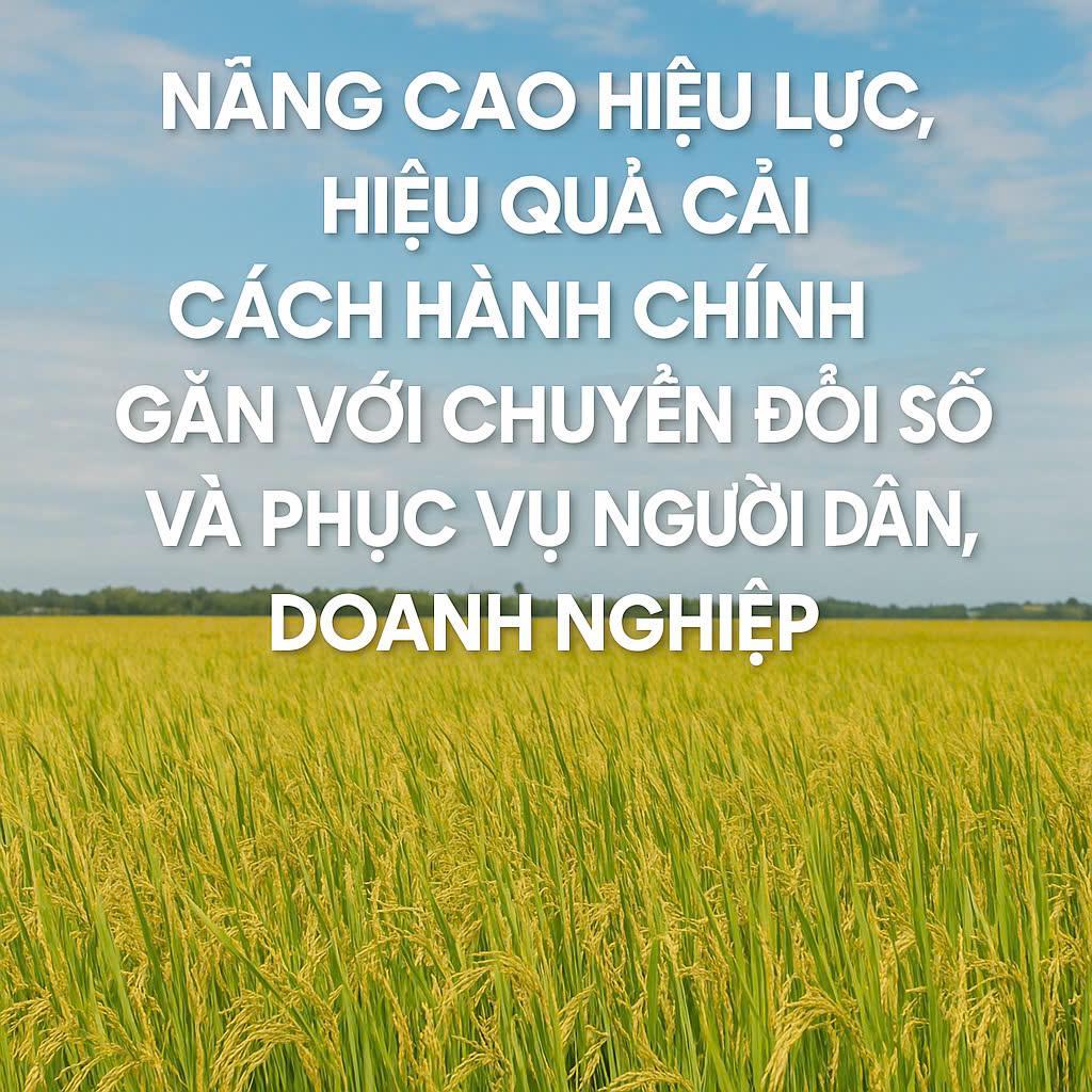 NÂNG CAO HIỆU LỰC, HIỆU QUẢ CẢI CÁCH HÀNH CHÍNH GẮN VỚI CHUYỂN ĐỔI SỐ VÀ PHỤC VỤ NGƯỜI DÂN, DOANH...